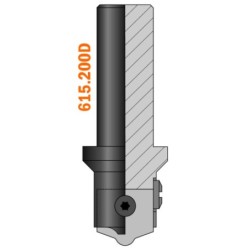 BORING BIT BODY A S-20X50 D-38-62X30X95 RH