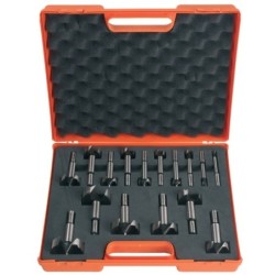 FORSTNER BIT SET W- CASE 16-PCE HL S-3-8 RH