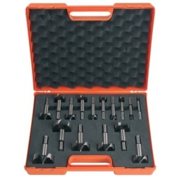 FORSTNER BITŲ RINKINYS SU DĖŽUTE 16-VNT HL S-3-8 RH