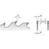 RIPING-CROSSCUT PJOVIMO DISKAS HW 550X4.2-3.2X30 Z60 ATB