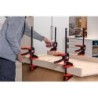 Vienos rankos spaustukas EZ360-30