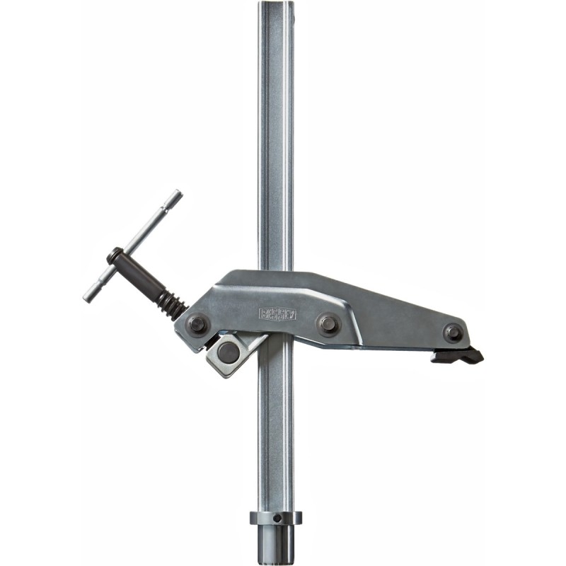 Spaustuvo elementas su laikymo ranka TW28GRS30-12