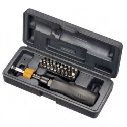 20 vnt. TORQUE ATSUKINĖS RANKENOS RINKINYS Hex-1-4 Nm-1-6