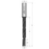 Kreiptasis pjūklas MORT.BIT HW Z2R S-16X50 D-16X25-95X170 K.