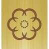 CARVER ŠABLONAS ROSETĖ 2-6