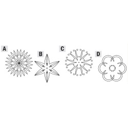CARVER ŠABLONAS ROSETĖ 1-5 A