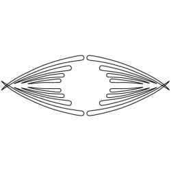 CARVER TEMPLATE STRUCTURE FOR DRAWERS